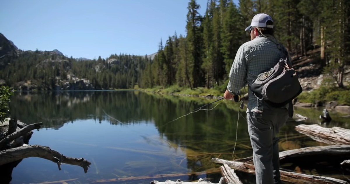 A Beginner's Guide to Fly Fishing