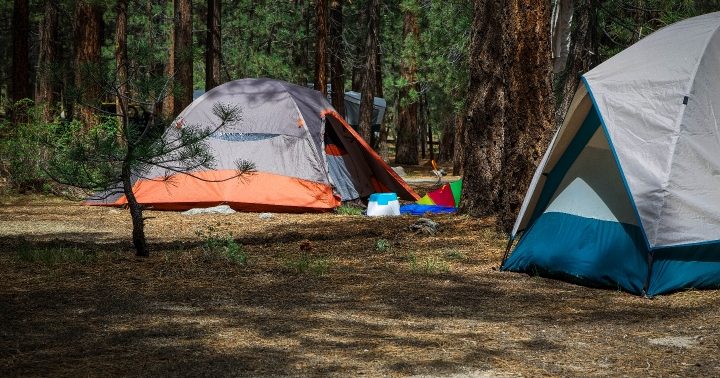 New Shady Rest Campground | Visit Mammoth